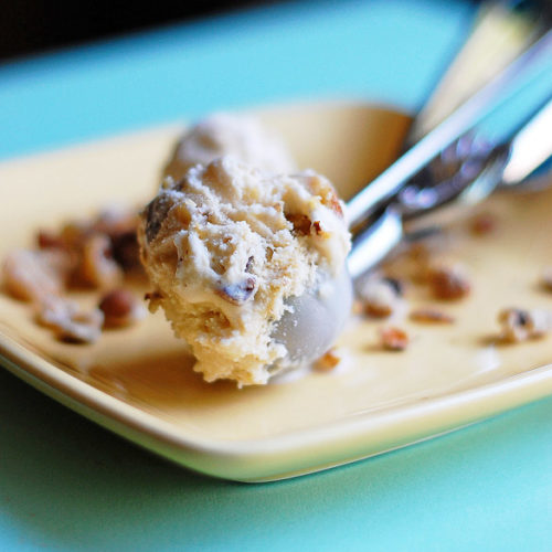 https://www.seededatthetable.com/wp-content/uploads/2010/04/Black-Walnut-Ice-Cream-500x500.jpg