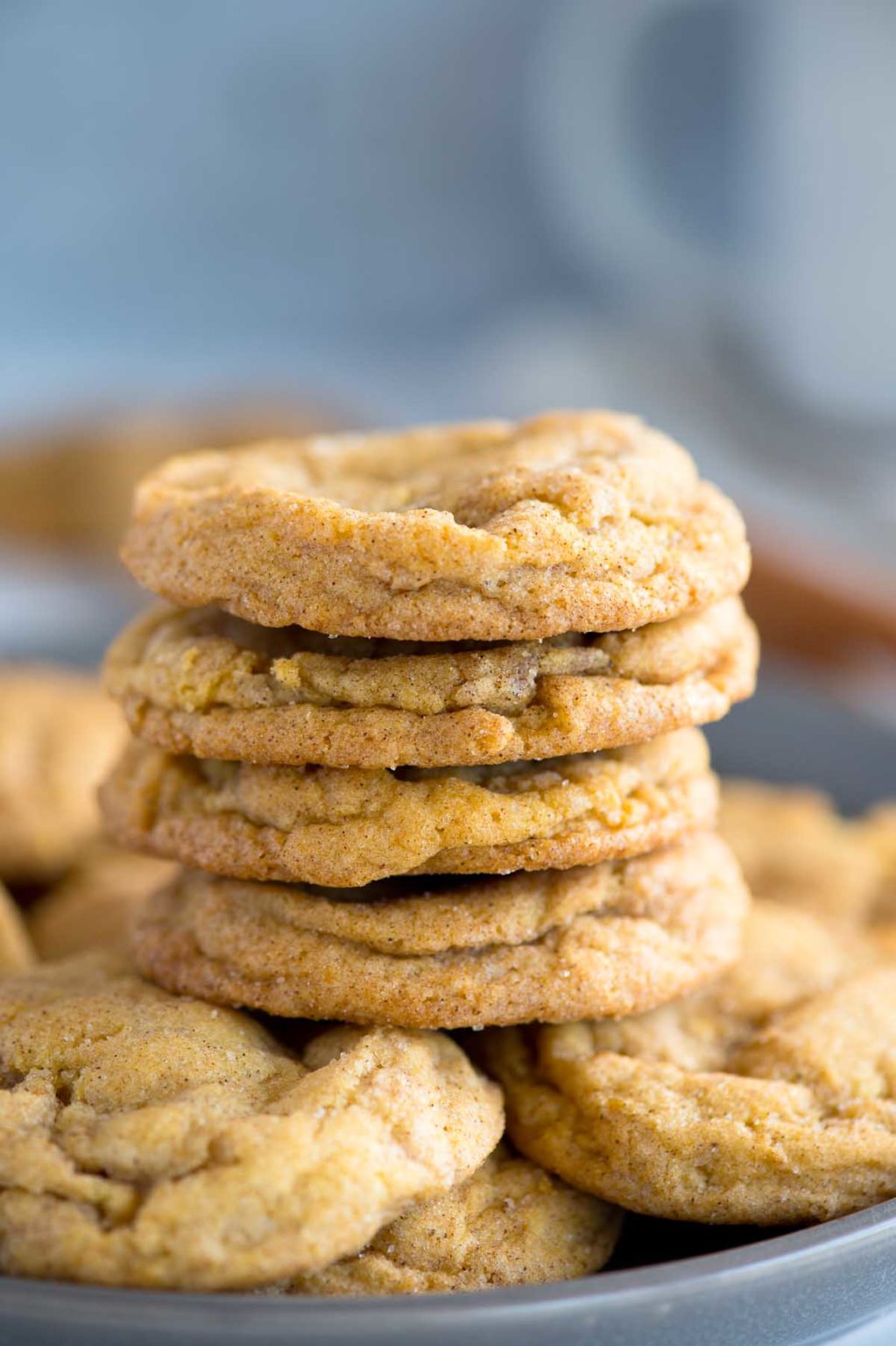 Soft Chewy Pumpkin Snickerdoodles- Perfect shape and texture!