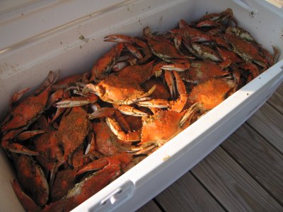 Crab Feast! (Open-Face Crab and Artichoke Melts) - Easy Recipes for ...