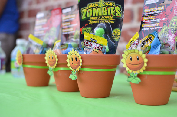 Buy Plants Vs Zombies Centerpieces Plants Vs Zombies Birthday
