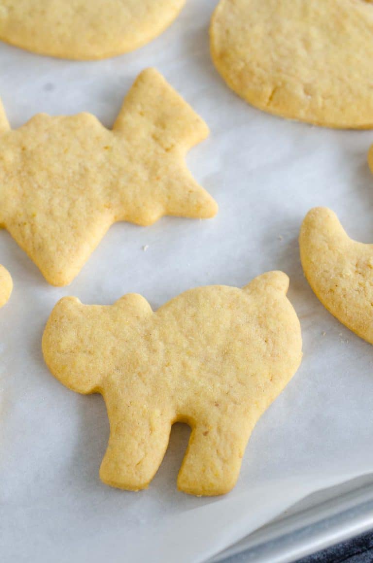 Pumpkin Spice Cut Out Cookies -Decorate with icing and sprinkles!