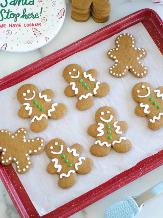 Gingerbread Family Baking Pan